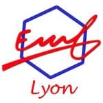 V logo EMF