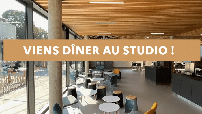 Viensdineraustudio