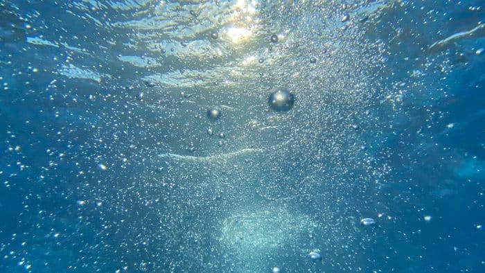 Printemps étudiant de la biodiversité 2025 : Un mois pour célébrer l'eau ! 1 water bubbles in blue water