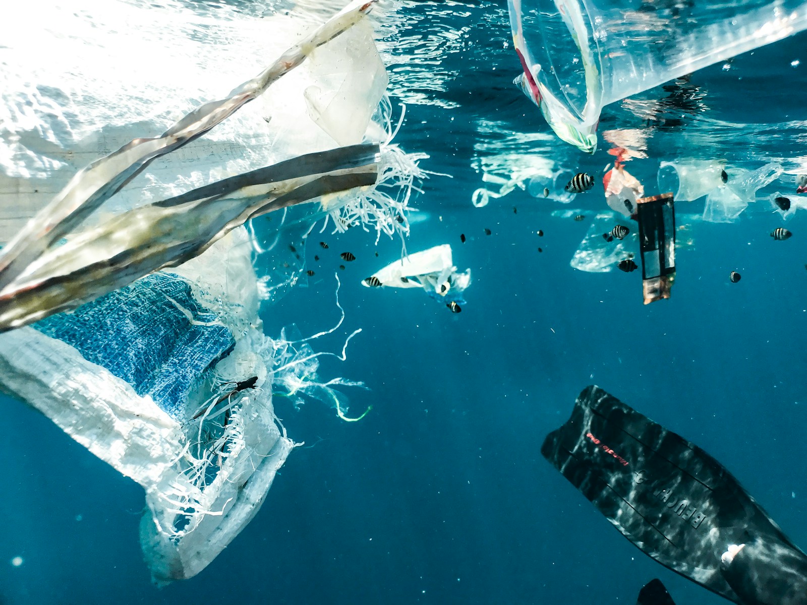 Photo by Naja Bertolt Jensen a group of garbage floating in the ocean