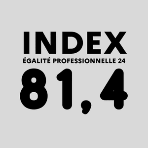 Image INDEX egalite pro 2024