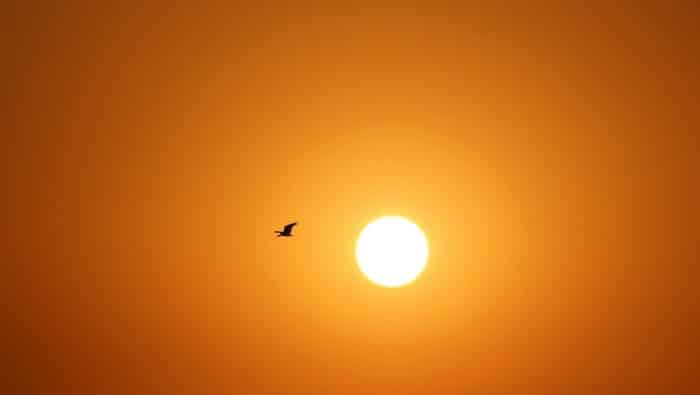 airplane flying during golden hour